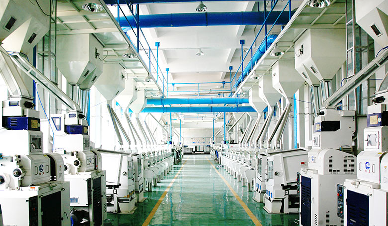 中兴300T碾米成套工程